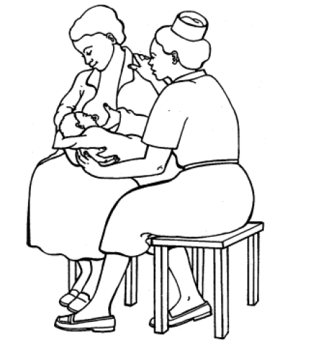 Breastfeeding: A Trainers Course